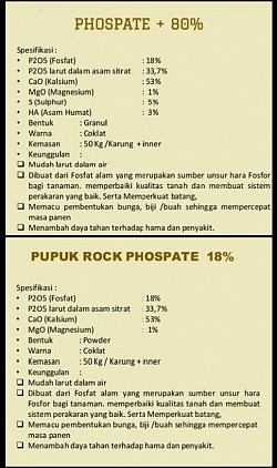 PHOSPATE SENTRA PUPUK KALIMANTAN